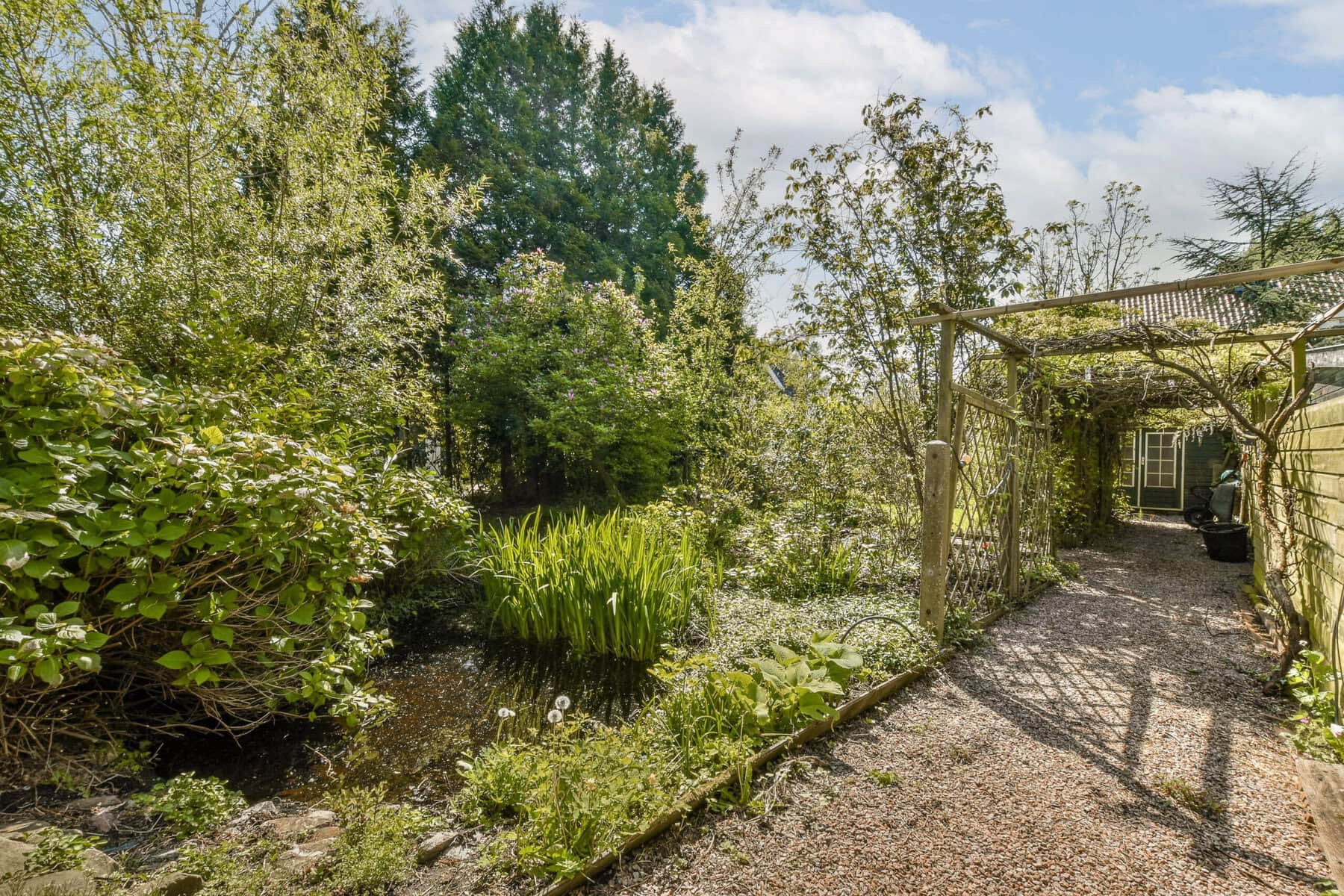 Gezicht op de tuin van Sloterweg 1257 met groen gazon en planten.