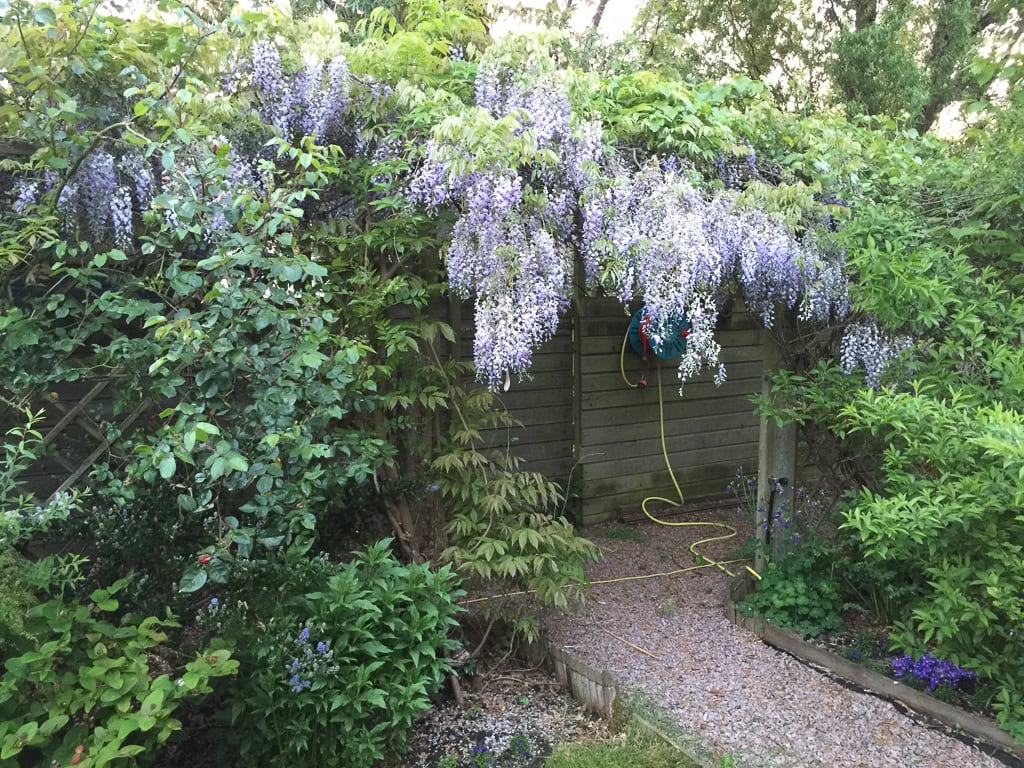 Bloemen en groen rondom tuinpad bij Sloterweg 1257, rustgevende tuinsetting.