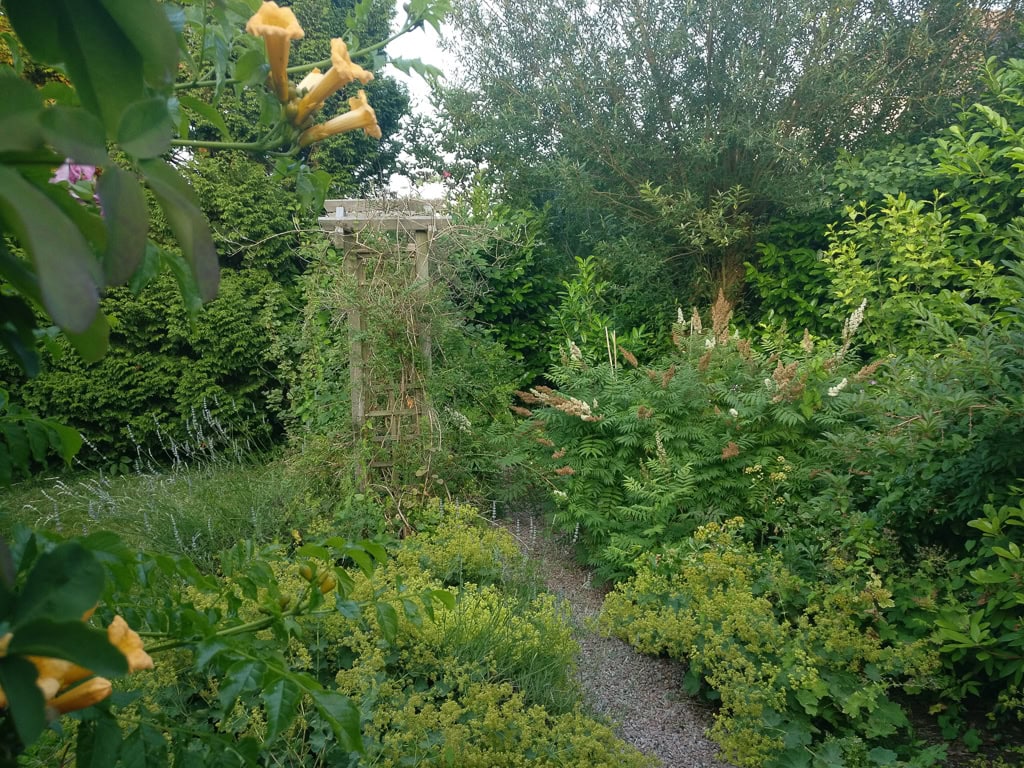 Groene tuin met diverse planten en bomen bij Sloterweg 1257.
